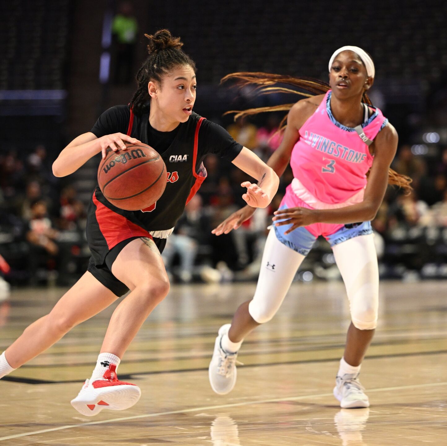 Livingstone WSSU women's basketball